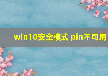 win10安全模式 pin不可用